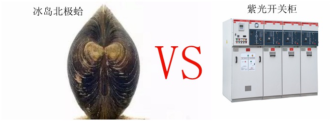 論長(zhǎng)壽只服冰島北極蛤，選高壓開(kāi)關(guān)柜認(rèn)準(zhǔn)紫光電氣